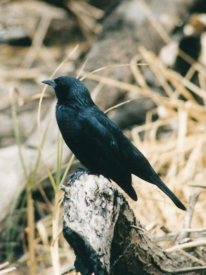FIGURE 3 FIGURE 3